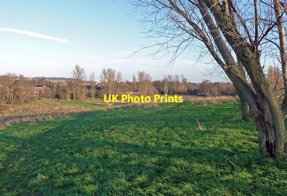 Photo 6"x4" Mitcham Common (2) Mitcham c2014