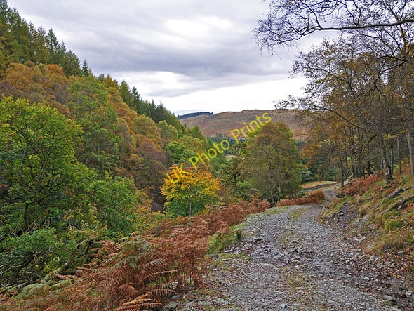 Photo 6"x4" Estate track beside the Allt an Tamhaisg Dunira c2008