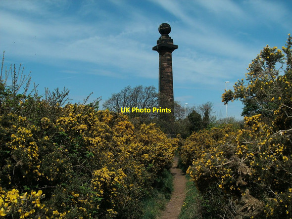 Photo 6"x4" Gorse lines the path up to the Monument on Caldy Hill Hoylake c2013