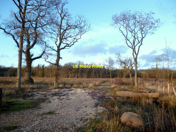 Photo 6"x4" Peatmoor Copse in Winter Englefield c2014