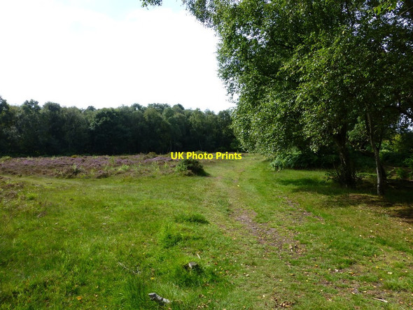 Photo 6"x4" Heathland on path to Benty Farm Heswall c2013