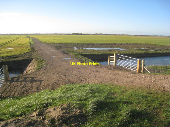 Photo 6"x4" Track to North Somercotes Poplar Grove\/TF4297 c2014