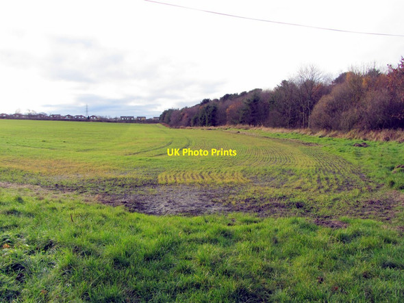 Photo 6"x4" Farmland off Whorlton Lane Callerton c2013