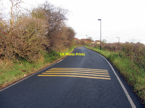 Photo 6"x4" Hospital Lane Ryton\/NZ1564 c2013