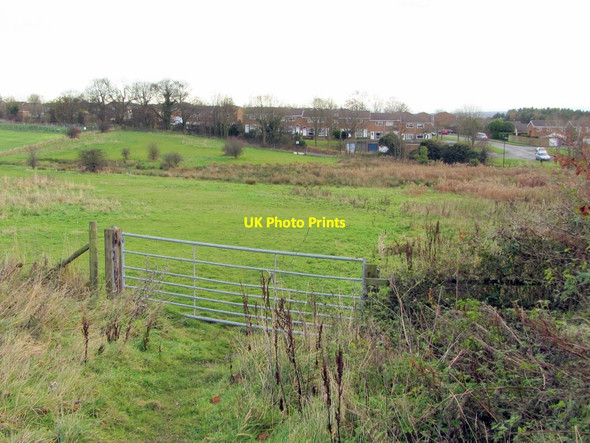 Photo 6"x4" Fields north of Hospital Lane Ryton\/NZ1564 c2013