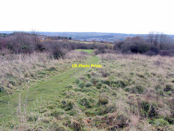Photo 6"x4" Path in Walbottle Brickworks Nature Reserve Ryton\/NZ1564 c2013