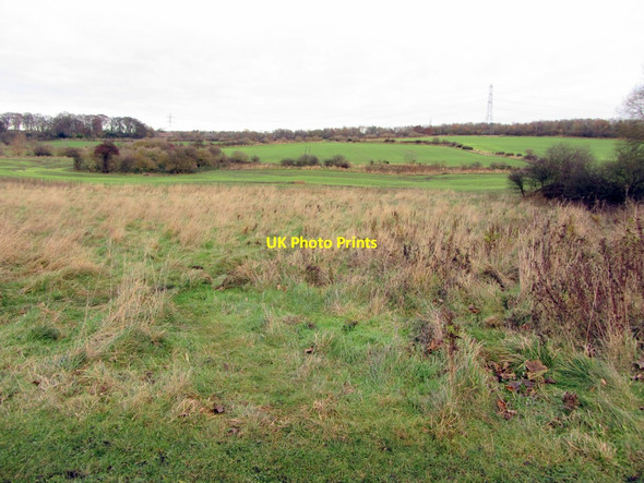 Photo 6"x4" Walbottle Brickworks Nature Reserve Ryton\/NZ1564 c2013