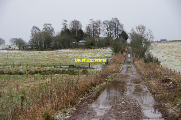 Photo 6"x4" Ghenty Cottage, near Kirriemuir Kirkton of Kingoldrum c2013