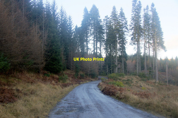 Photo 6"x4" Track near Cally Loch, Dunkeld Dunkeld c2013