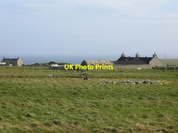 Photo 6"x4" Da Hametoon Da Toon o Ham c2013
