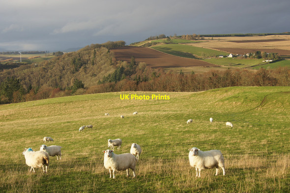Photo 6"x4" View over Glen Ericht from Bonnington Road, Rattray Blairgowrie c2014