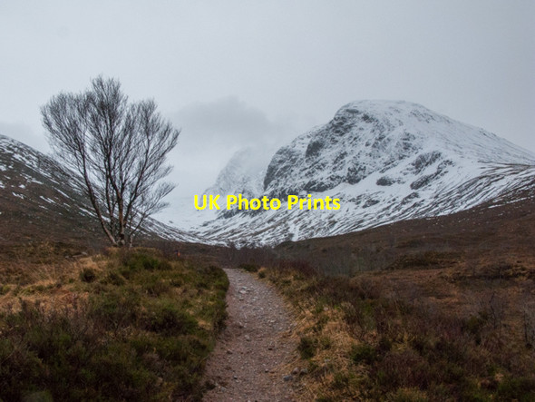 Photo 6"x4" Allt a' Mhuilinn path and Ben Nevis Torlundy c2013