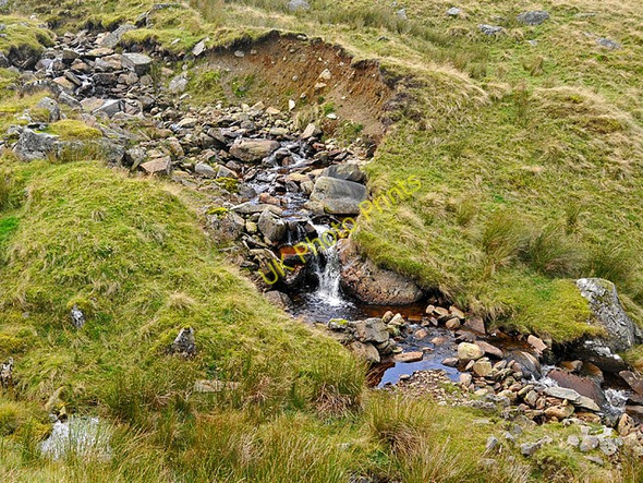 Photo 6"x4" The Allt Ruighe Amulree c2008