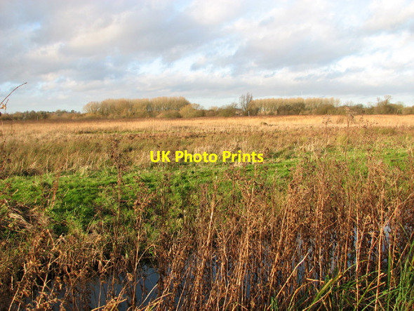 Photo 6"x4" View across Church Marsh Surlingham c2014
