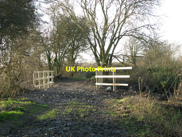 Photo 6"x4" A new bridge on the path Postwick c2014