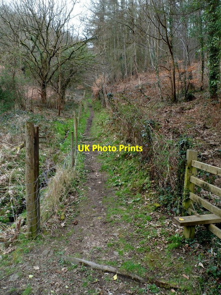 Photo 6"x4" Track into Hafod-tudur-ganol near Wattsville Wattsville c2012
