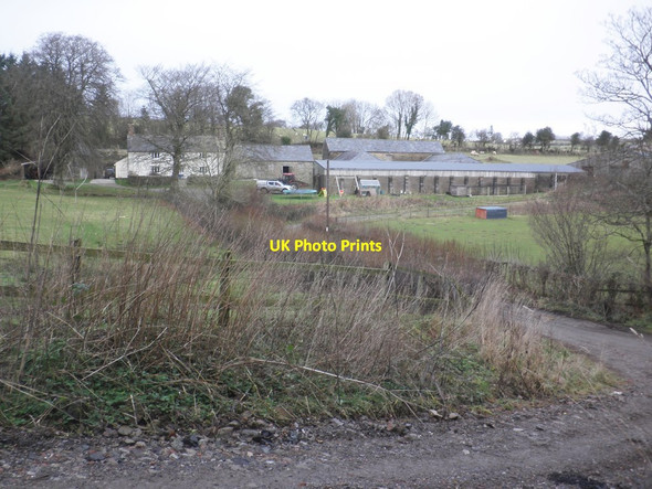 Photo 6"x4" Thorne Farm Luckwell Bridge c2014