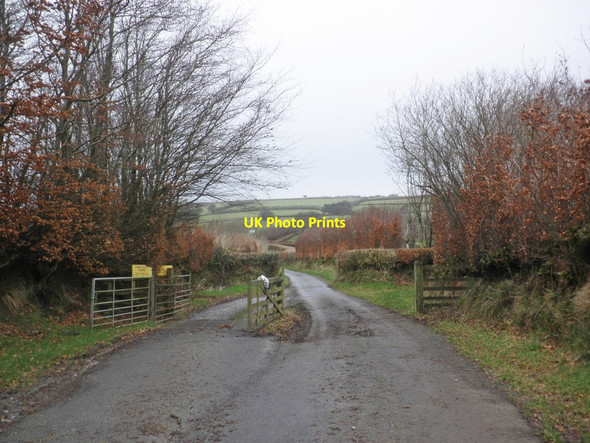 Photo 6"x4" Cattle grid on Staddonhill road Codsend c2014