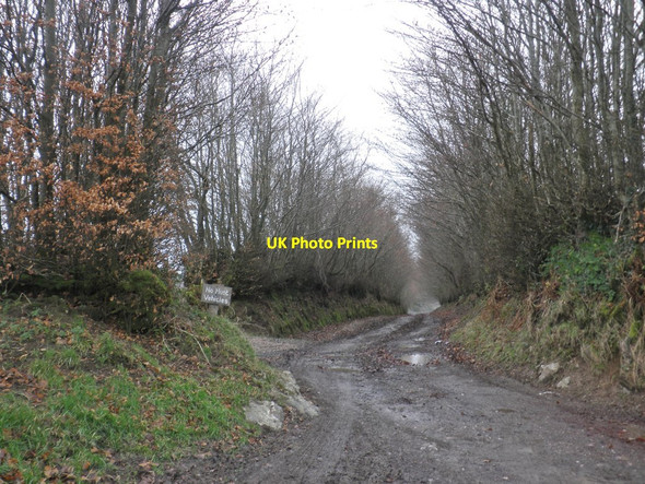 Photo 6"x4" Track to Lyncombe Codsend c2014