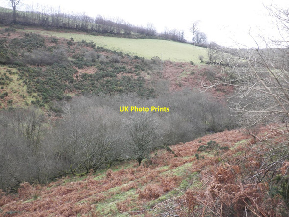 Photo 6"x4" Pennycombe Valley Edgcott\/SS8438 c2014