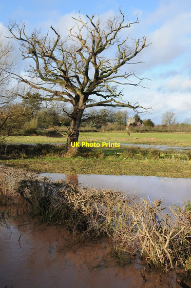 Photo 6"x4" View to Earl's Croome church Baughton c2013