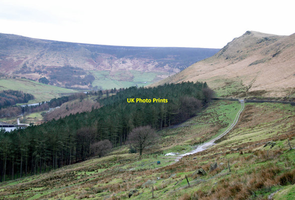 Photo 6"x4" Yeoman Hey Plantation Pobgreen c2014