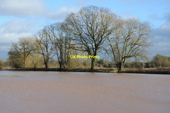 Photo 6"x4" Trees and flooded farmland Baughton c2013