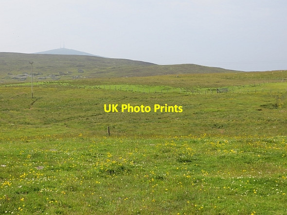 Photo 6"x4" Gunnista croftland Lerwick c2013