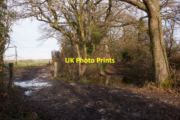Photo 6"x4" Bridleway and farm track Lower Upham c2014