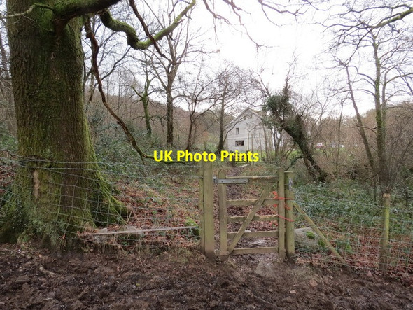 Photo 6"x4" Cwmllwchwr Uchaf Garn-swllt c2014