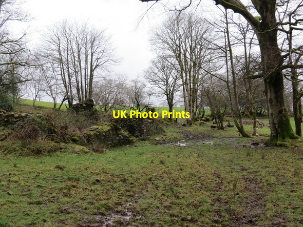 Photo 6"x4" Ffarm Bryn Cyffon \/ Bryn Cyffon Farm Garn-swllt c2014