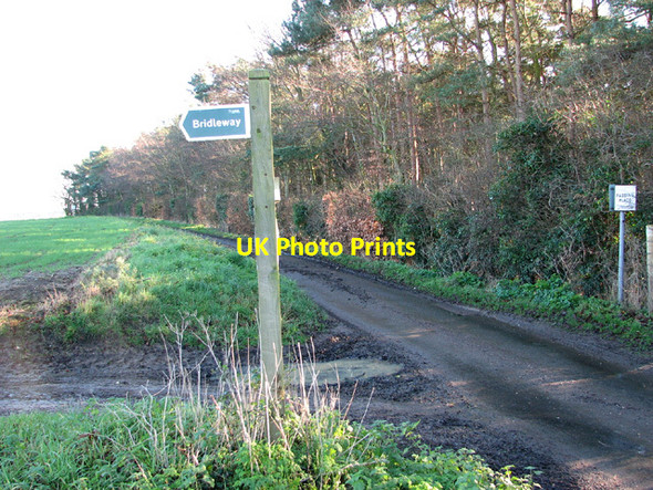 Photo 6"x4" Bridleway beside Hulver Road Ellough c2014