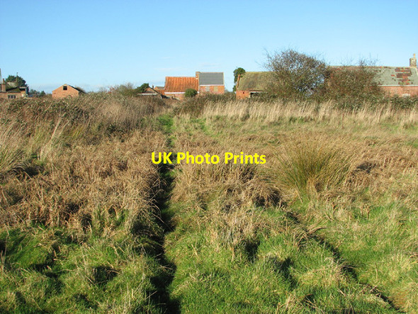Photo 6"x4" Pasture by Marsh Lane Farm Hulver Street c2014