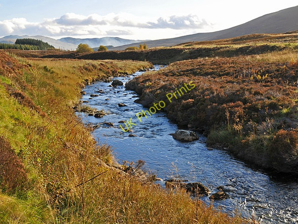 Photo 6"x4" The Cochill Burn Glen Cochill c2008