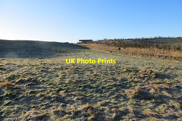 Photo 6"x4" Frosty pasture, Pitreuchie Forfar c2014
