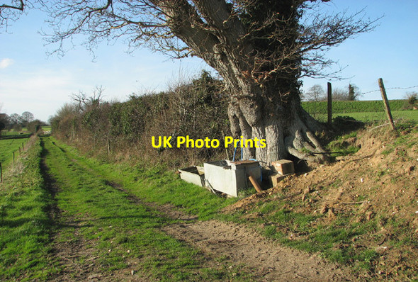 Photo 6"x4" Water troughs beside the path to Mutford Hall Rushmere\/TM4987 c2014