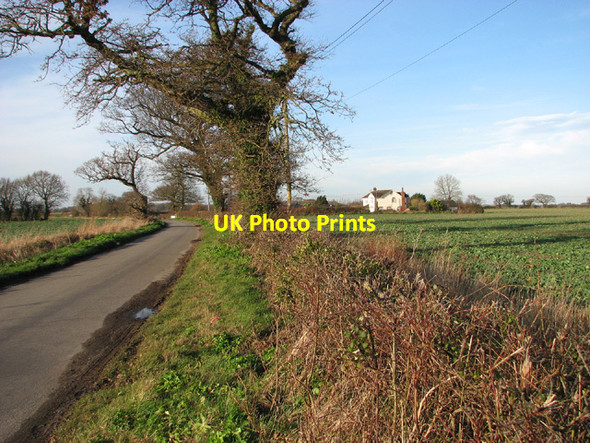 Photo 6"x4" View along Blower's Lane Rushmere\/TM4987 c2014