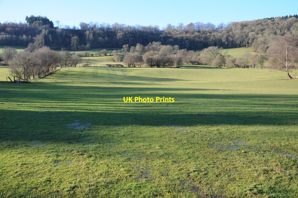 Photo 6"x4" View to Godway Wood Blakemere c2014