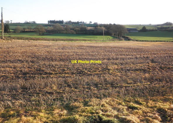 Photo 6"x4" Clayhill Farm Gothelney Green c2014