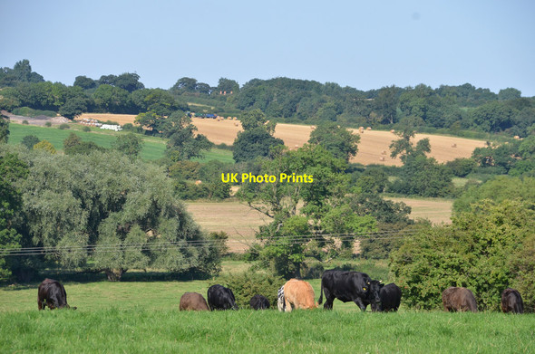 Photo 6"x4" Looking towards Gonalston back lane from fields at end of Mount Pleasant Lowdham Gonalston c2013