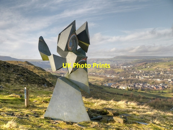 Photo 6"x4" Fractured Frond, Lee Quarry, Stacksteads Bacup c2014