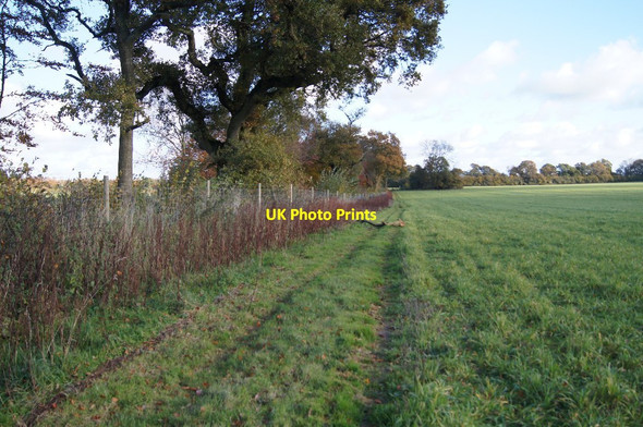 Photo 6"x4" South Down Track (bridleway) East Stratton c2013