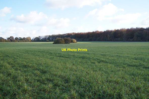 Photo 6"x4" Two pits by Dodsley Wood East Stratton c2013