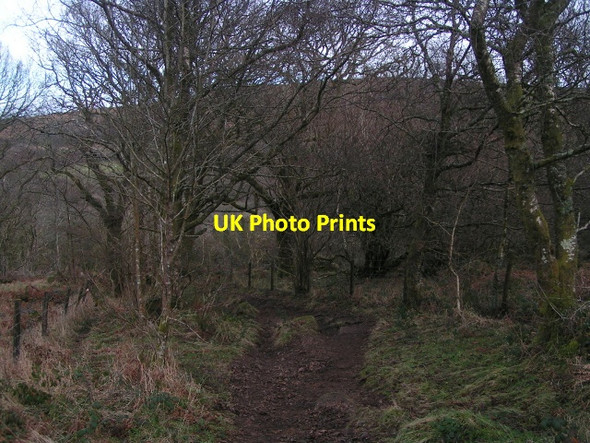 Photo 6"x4" Path leading to Hound Tor Water\/SX7580 c2013