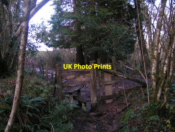 Photo 6"x4" Footpath heading for Leighon Water\/SX7580 c2013