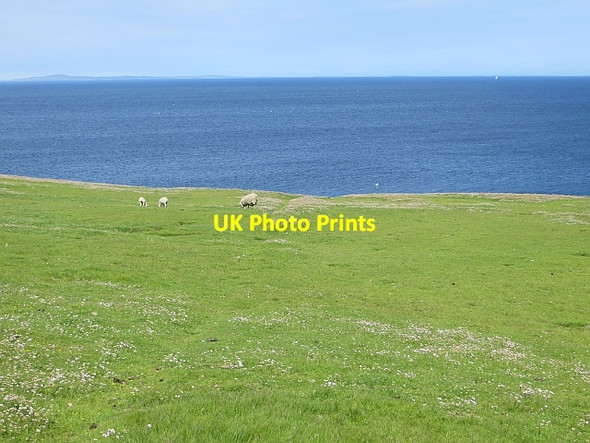 Photo 6"x4" Grassland, Noss Cletter c2013