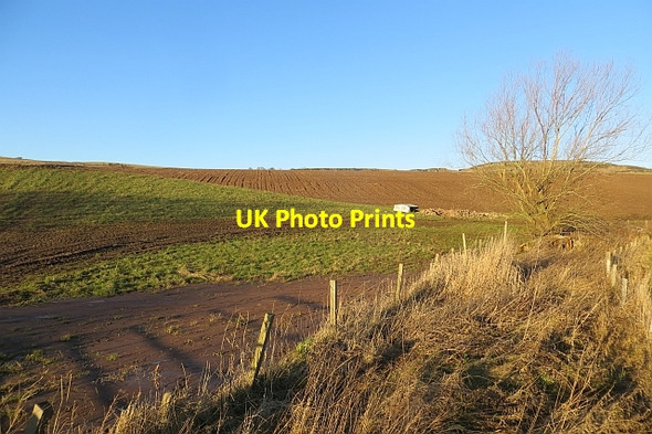 Photo 6"x4" Fields, Rescobie Rescobie c2014