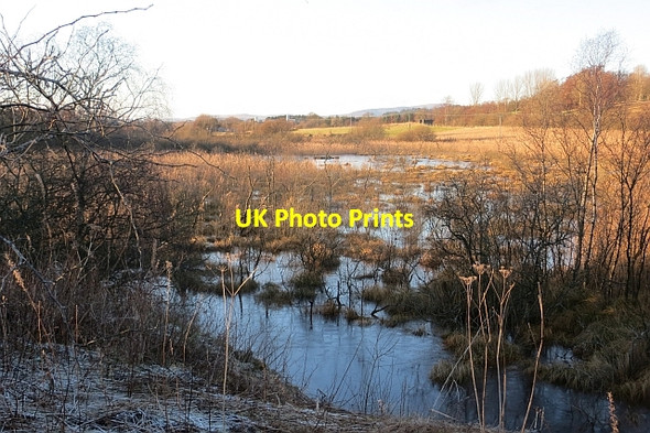 Photo 6"x4" Restenneth Moss East Mains of Burnside c2014