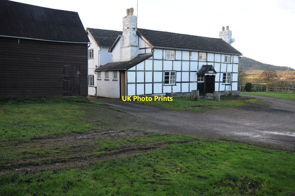 Photo 6"x4" Royal Oak near Burghill Portway\/SO4845 c2014