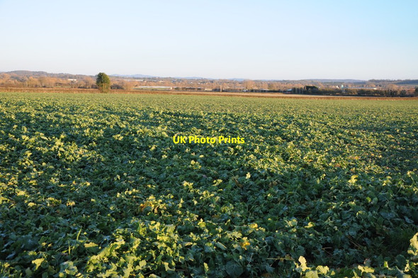 Photo 6"x4" Arable land at Wellington Wellington\/SO4948 c2014